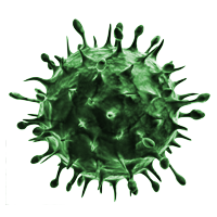 Virus PNG-43328